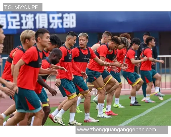 2025中国足球中超最佳球星前十榜单精彩揭晓，谁能问鼎荣耀之巅